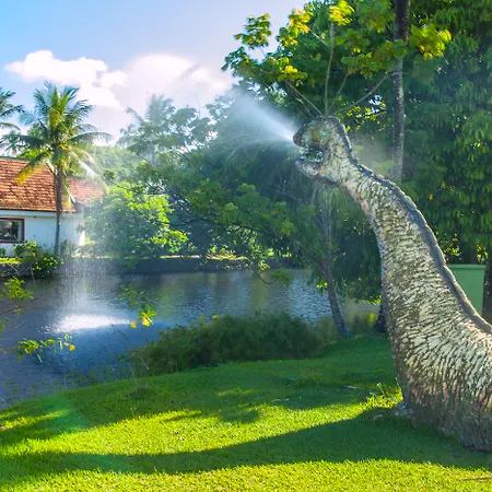 Resort Tororomba-3